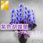 紫色胡蝶蘭/パープルエレガンス/開業/開院/就任/受賞